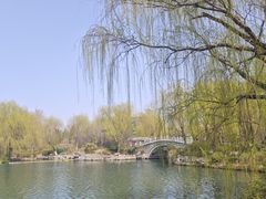-济南大明湖景区