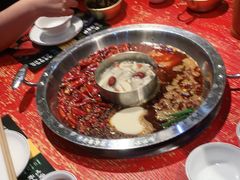 -谭鸭血老火锅(娄星区长青街店)