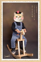 -生生摄影
