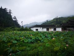 -云中大漈