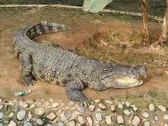 -石家庄市动物园