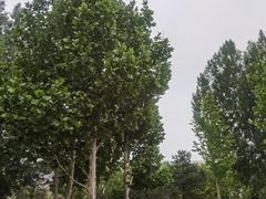 -回龙观体育文化公园