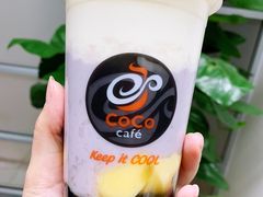 -CoCo都可(文星广场店)