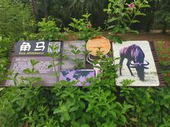 -海南热带野生动植物园