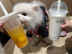 -卡旺卡(黄山银街店)