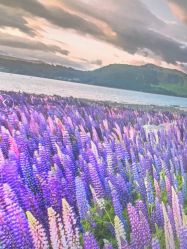 点击看大图 -平行宇宙普拉提健身