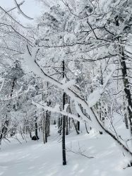 -大秃顶子山