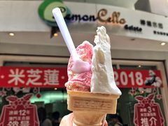 -柠檬车露(卖草地店)