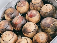 原只椰子炖品-達揚原味燉品(文明路店)