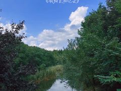 -东平国家森林公园