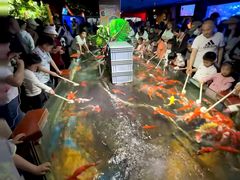 -太平洋海底世界