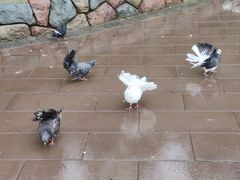 -波塞冬海底世界