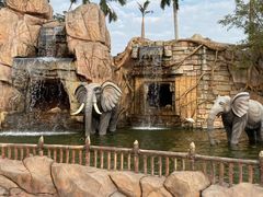 -美的鹭湖探索王国