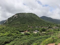 -杨梅坑