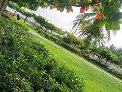 -三亚亚龙湾天域度假酒店