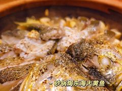 -人间采蜜(海信广场店)