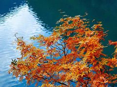 -叠溪松坪沟景区