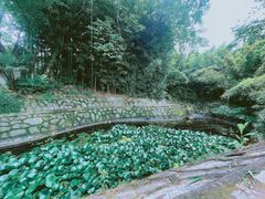 -菊花台公园