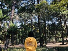 -八大关景区