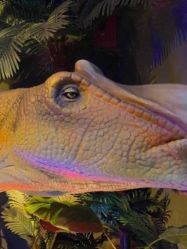 点击看大图 -恐龙探索乐园(磁器口店)