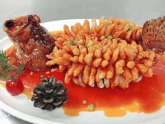 -全聚德(哈尔滨店)