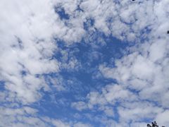 -少华山国家森林公园
