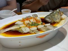 -大鸽饭(马王堆店)