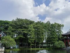 -顺峰山公园