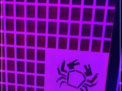 -蛮横肉蟹煲(印象城店)