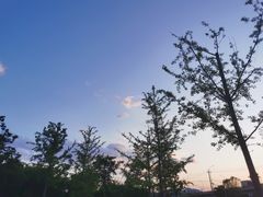 -永定河休闲森林公园