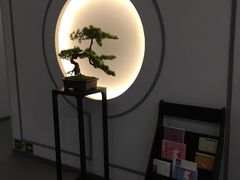 -席仁堂推拿按摩脊柱调理(世纪科贸大厦店)