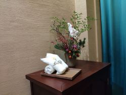 -娇玫荟SPA