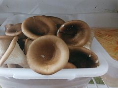 -畲乡一品鱼府土菜馆