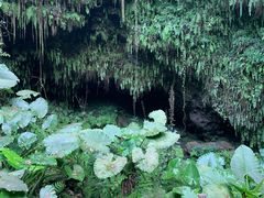 -海口火山口国家地质公园