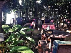 -Fern Forest Cafe