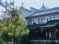 -龙天小镇