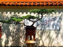 -恋羊时代黑山羊火锅(滨海大道店)