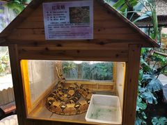 -上海大自然野生昆虫馆(东方明珠·爬宠昆虫探索中心)