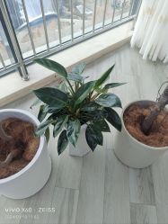-HEYAN荷妍专业脱毛连锁机构