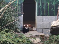 -南昌动物园