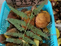 -双喜农庄·菌香园(安居家园店)