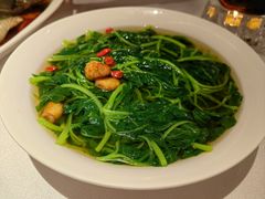 -南海渔村(珠江新城店)