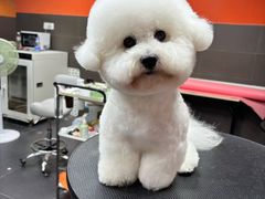 -宠宠熊宠物美容(星湖街店)