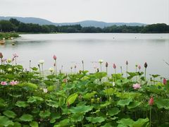 -尚湖风景区