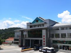 -打洛口岸