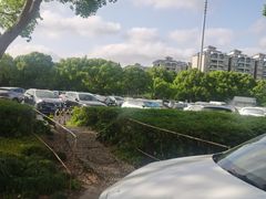 -上海中医药大学附属曙光医院(东部)