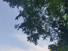 -上海佘山国家森林公园天马山园