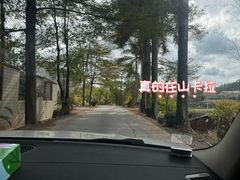 -满記土窑烧鷄波浪山莊