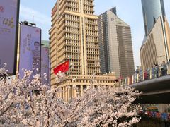 -陆家嘴空中步行连廊