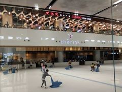 -TheRink大零溜冰场(IFS国金中心店)